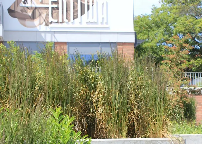 Lulu - Centrum גדנסק