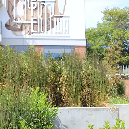 Lulu - Centrum Gdańsk